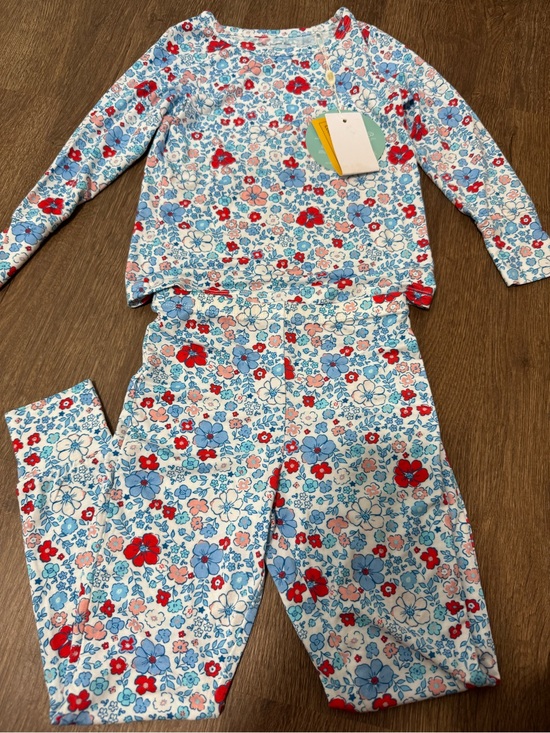 Charlies Project Other - Charlie’s Project Kids Pajamas Set Girls 3 3T Bamboo Floral Red Blue Long Sleeve